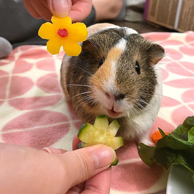 GuineaDad Premium Liner – Fleece Guinea Pig Cage Liner – Ultra-Plush Reusable Fleece Bedding with Waterproof Bottom – Extra Absorbent Liner for 2x4 C&C Cage (Rainy Day)