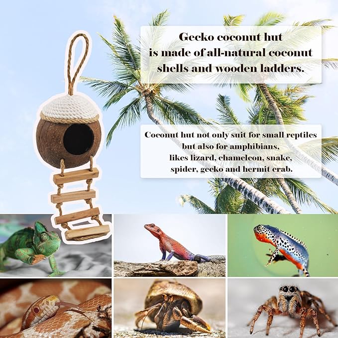 Leopard Gecko Coconut Hut with Ladder,Grested Gecko Coco Den Lizards Hanging Coconut Shell Hideout Cave Reptiles Tank Accessories Climbing Hanging Plants Jungle Vine Flexible Leaves Decor