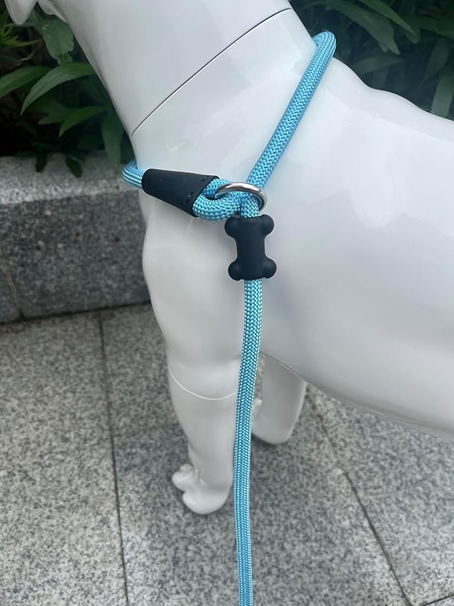 Slip Lead Dog Leash,Strong Nylon Rope Leash and Padded Handle,No Pull Outdoor Walking Training Lead for Small Medium Large Dogs (Light Bule,1/2"×4ft)