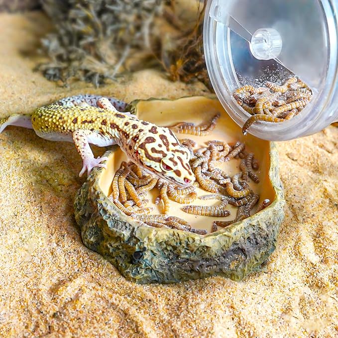 REPTI ZOO Reptile Cricket Calcium Powder Mixer, Transparent Cricket Keeper Shaker for Bearded Dragon Gecko Snake Lizard Chameleon, Dispenser Feeder for Reptile & Amphibians(Clear)