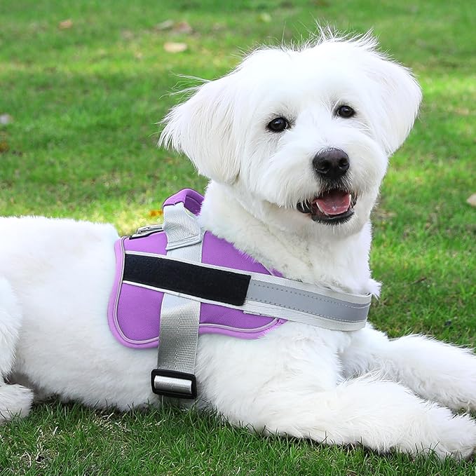 Bolux Dog Harness, No-Pull Reflective Dog Vest, Breathable Adjustable Pet Harness with Handle for Outdoor Walking - No More Pulling, Tugging or Choking (Lavender, Large (Pack of 1))