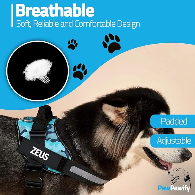 PawPawify Custom No Pull Dog Harness with Name and Phone Number, Heavy Duty Personalized Pet Vest to Prevent Tugging, Pulling, or Choking, Training and Walking (SkyBlue, M (20-40 LBS))