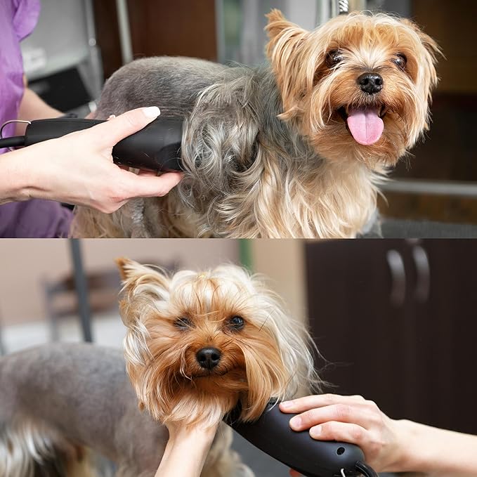 Detachable A Series 40 Blade Dog Grooming Clipper Blades Cuts Length 1/100" 0.25mm Japanese High Carbon Steel Dog Grooming Clipper Replacement Blade | Compatible A5 Series(B40)