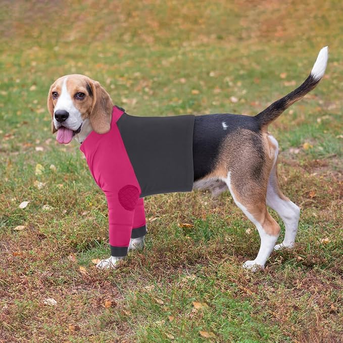 LeLePet Dog Recovery Suit for Front Legs, Dog Sleeve to Stop Licking, Elbow Protector for Leg Injuries Shoulder Wounds After Surgery Male Female,Zippered Long-Sleeved Shirt Cone Alternative(S-3XL)