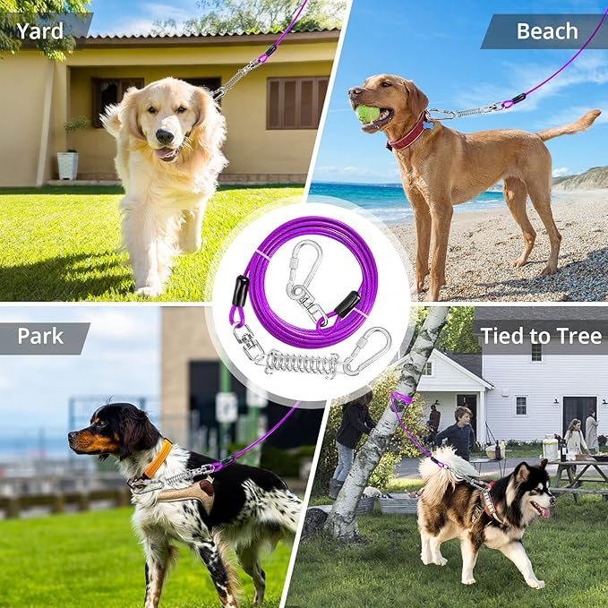 Jenico 100 FT Dog Runner Cable with Swivel Hook, Outdoor Training Line for Small to Medium Pets Up to 500 LBS