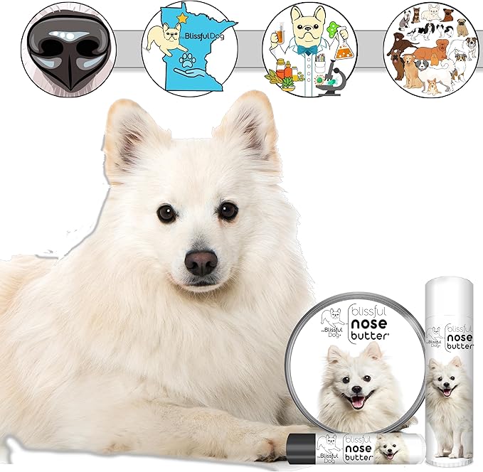 The Blissful Dog American Eskimo Nose Butter for Dry, Cracked Skin, Lick-Safe Dog Nose Balm with Moisturizing Shea Butter, Almond, Olive, and Essential Oils, Pet Supplies, Uncented, 1 oz.