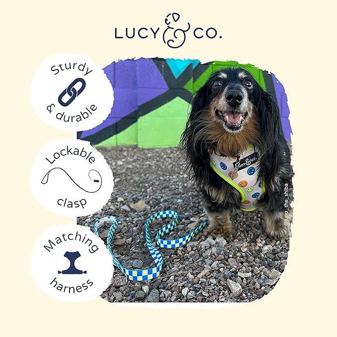 Lucy & Co. Designer Dog Leash - Pet Accessories - Thick Dog Leash - Padded Handle for Comfort - Purple with Green Floral - 5 Foot (Lime Green Blue Checker, Large)