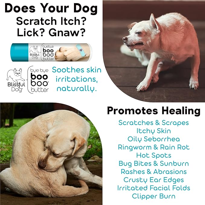 The Blissful Dog .15 oz Tube Golden Retriever Booboo Butter