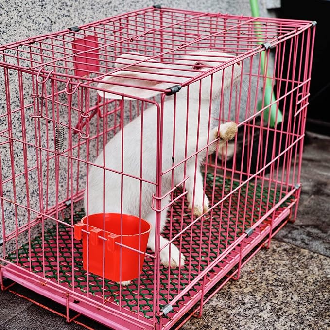 30 Pcs Cage Cups Birds Feeders Bird Water Dispenser Hanging Quail Waterer Plastic Chicken Feeding Watering Dish for Small Coop Parrot Parakeet PET Poultry Pigeon Gamefowl Food Seed Bowl Supplies, Red