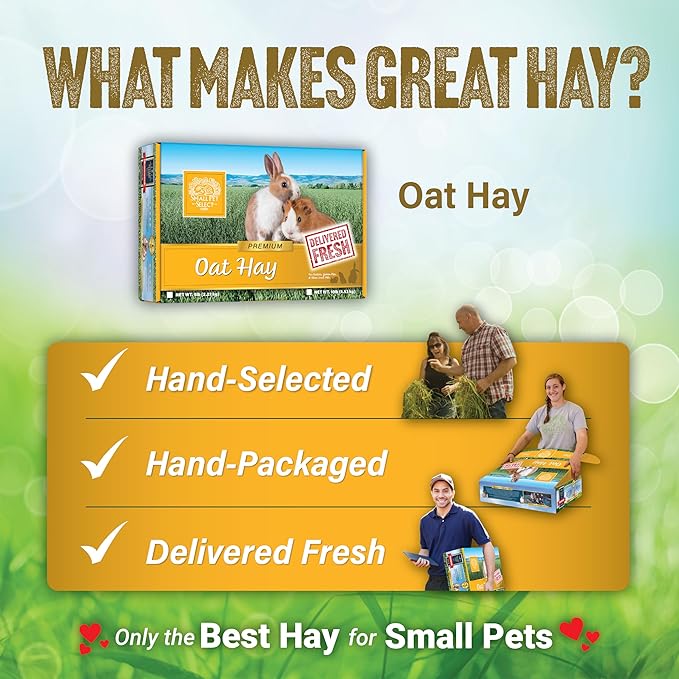 Small Pet Select Oat Hay Pet Food, 20 Lb.