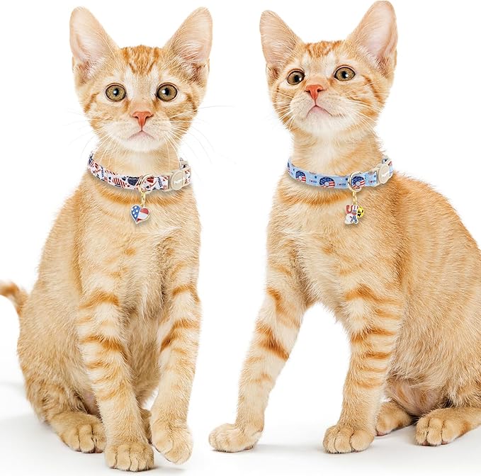 Faygarsle 2 Pack Patriotic American Flag Dog Collar Pattern Cat Collars Breakaway Safety Collar with Bell Spring Summer Design for Girl Cats, Red White Blue