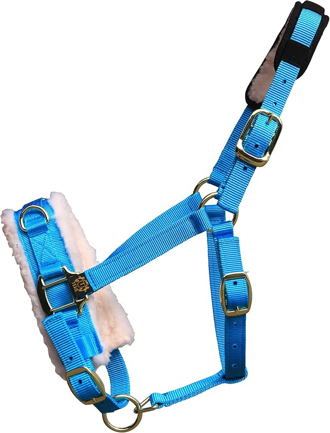 T TEKE Lunge Cavesson with Fleece Lined Nose Band and Crown