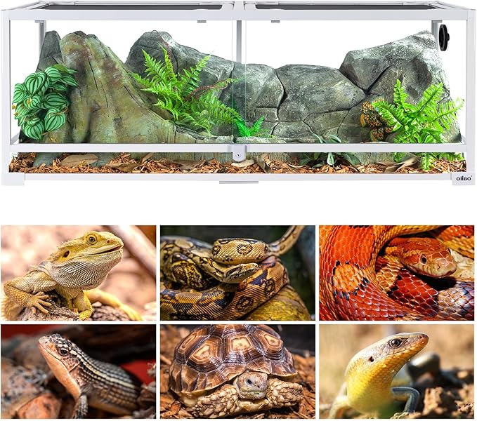 OIIBO 67 Gallon Reptile Tank,48" x 18" x 18" Glass Reptile Tank with Sliding Doors Front Opening Reptiles Terrarium with Screen Ventilation for Snakes,Lguanas, Chameleons