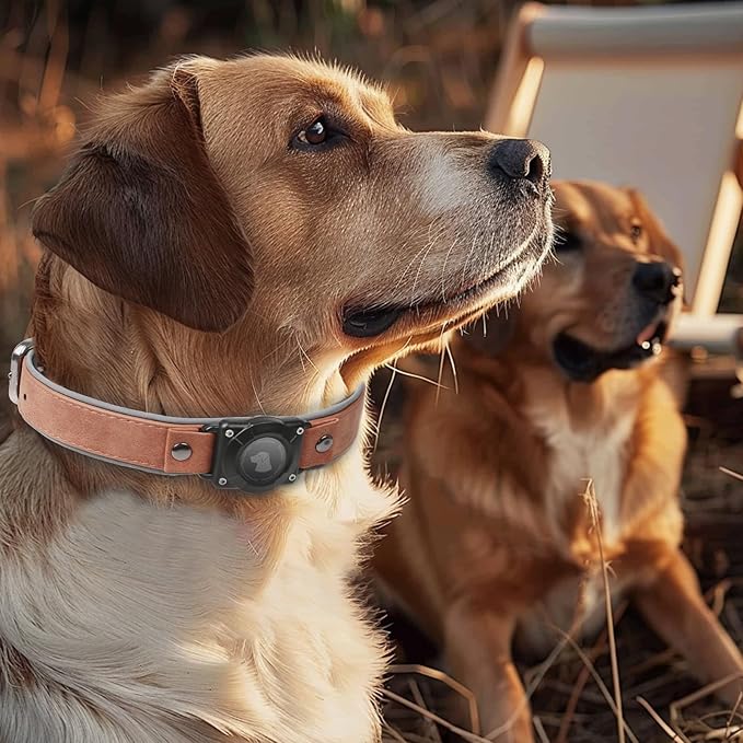 AirTag Dog Collar - Leather Dog Collar with Air Tag Holder | IPX8 Waterproof, Reflective, High - End, Adjustable Soft Padded | Dog GPS Tracker Collars Fit for Medium Large Dogs (Mahogany Brown, M)