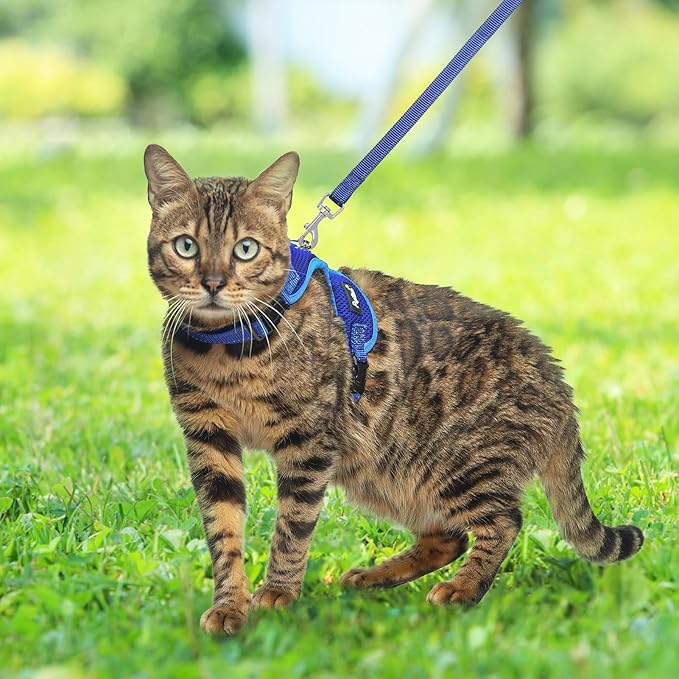 PUPTECK Cat Harness and Leash Set Escape Proof, Reflective Adjustable Soft Mesh Kitten Vest Harness for Walking Travel, Navy Blue, S
