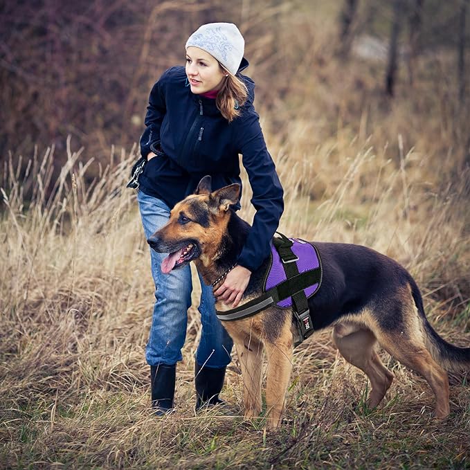 Dogline Dog Harness, Reflective No-Pull Adjustable Vest with Handle for Walking, Training, Breathable, No - Choke Harness for Small, Medium or Large Dogs Room for Patches Girth 15 to 18 in Purple