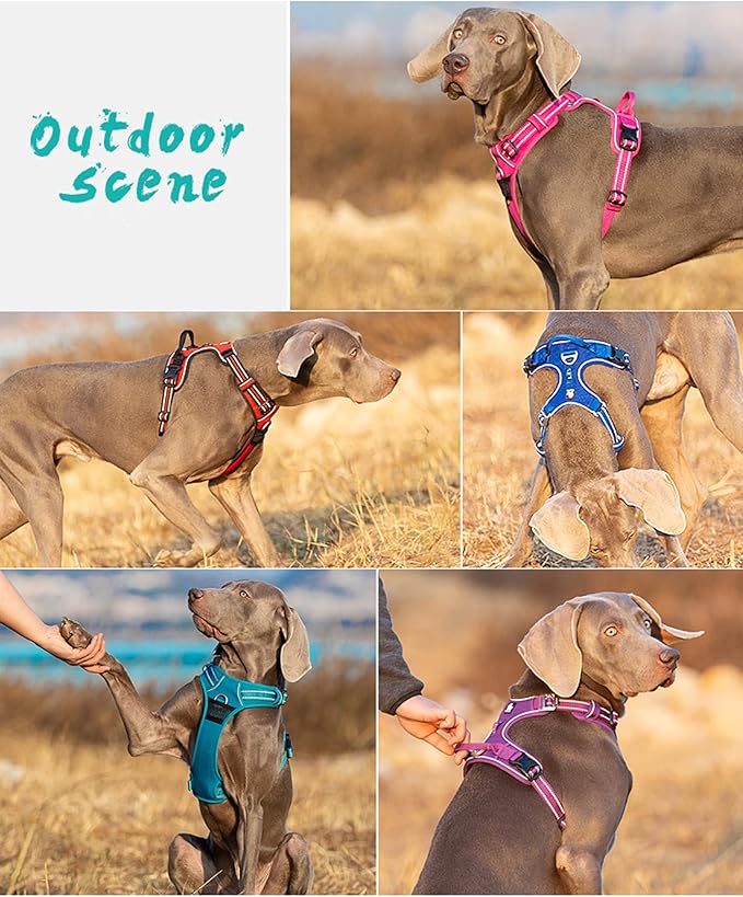TRUE LOVE Dog Harness No Pull Nylon Reflective Pet Harness Adjustable Comfortable Control Step-in Brilliant Colors Truelove TLH56512