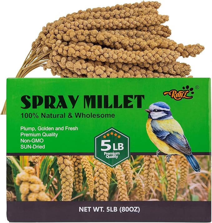 RANZ 5LBS Millet Spray for Birds, GMO-Free, Sun Dried Spray Millet, Original Bird Treats & Supplement for Parrots, Cockatiels, Lovebirds, Painted Buntings and Finches, Parakeets Food