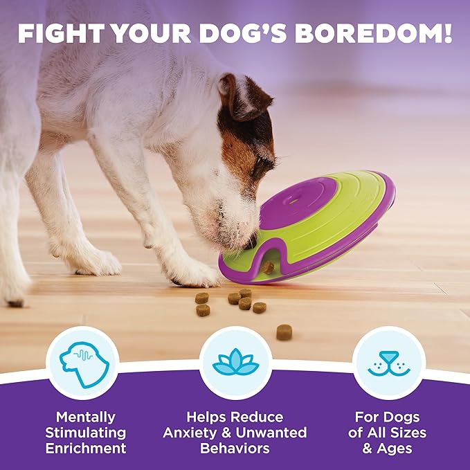 Outward Hound by Nina Ottosson Dog Treat Maze Dog Puzzle Enrichment Toy, Level 2 Intermediate, Green