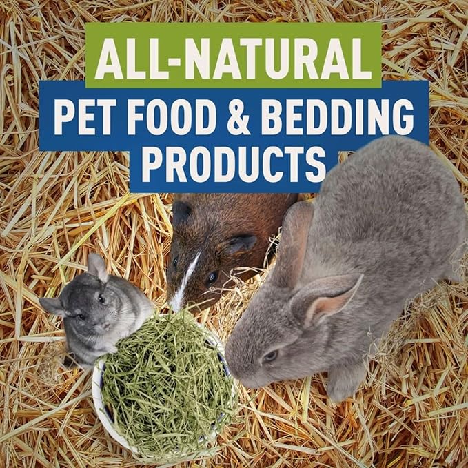 Blue Mountain Hay | Organic Bedding Straw (5 lb) | Natural Pet Bedding & Insulation for Rabbits, Guinea Pigs, Goats, Chickens, Stray & Feral Cats, and Small Animal Shelters