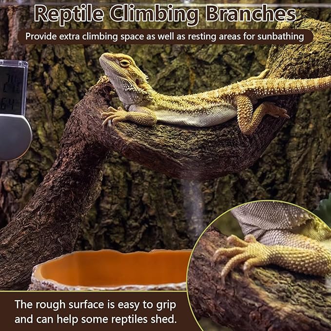 BNOSDM 3Pcs Reptile Climbing Branches Decor,Snake Climbing Branch,Gecko Climb Wood,Lizard Forest Branch,Tank Habitat Tree Trunk Decorations for Bearded Dragons,Chameleons,Spider,Frogs (L)