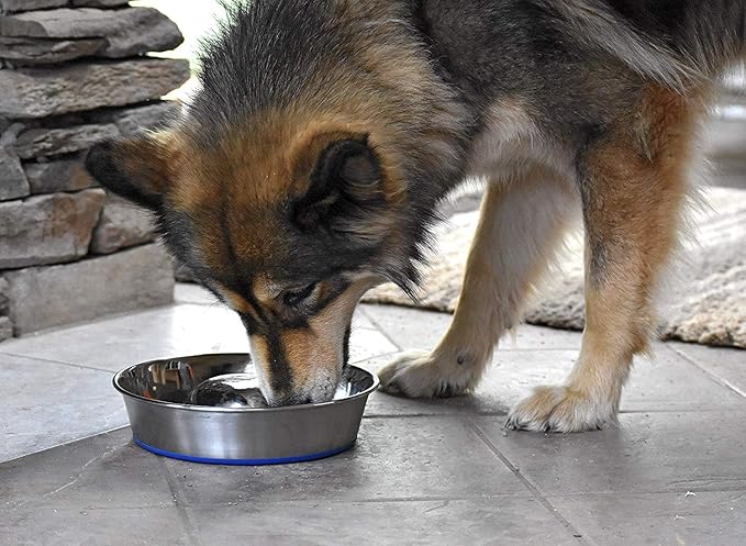OurPet's DuraPet Slow Feed Premium Stainless Steel Dog Bowl, Silver (2040010301)