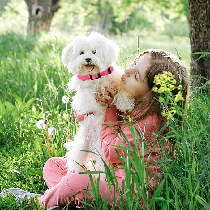 Rose Pink Dog Collar for Large Dog, Breathable, Anti-Odor & Soft, Comfortable for Sensitive Skin Puppies, 90% Bamboo Rayon, Adjustable Quick-Release Buckle Pet Collar for Large Breeds