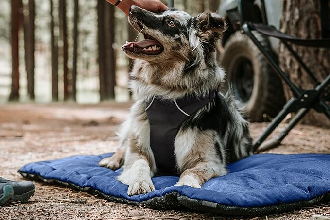 K9 Ballistics Tough Ripstop Dog Crate Pad - Durable & Machine Washable with Non-Skid Bottom and 120-Day Warranty, Fits 36" Wire Crates - Medium, Light Gray Velvet