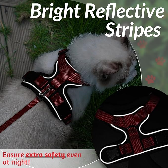 rabbitgoo Cat Harness and Leash for Walking, Escape Proof Soft Adjustable Vest Harnesses for Cats, Easy Control Breathable Reflective Strips Jacket, Black & Red, M