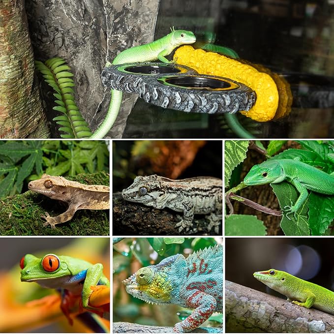 Gecko Gecko Feeder Ledge, Magnetic Reptile Feeding Ledge with 4 Food Bowls, Natural Tire-Design Resin Base for Bearded Dragon, Snake, Frog in Glass/PVC/Acrylic/Wood Tanks