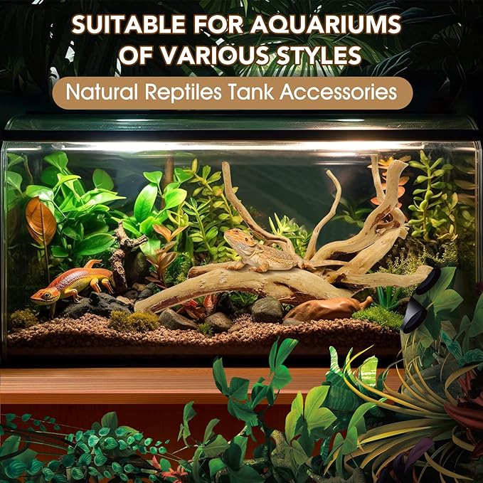 Natural Large Spiderwood Driftwood for Aquarium Decor Rptile Fish Tank Decoration Assort Branch 11-14'' 2 Pcs