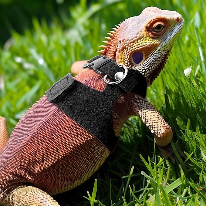 3 Pcs Escape Proof Bearded Dragon Harnesses and Leash Set, 3 Sizes Adjustable Soft Leather Lizard Leash Harness Small Animal Walking Vest for Squirrel Rat Bearded Dragon Lizard Small Reptiles