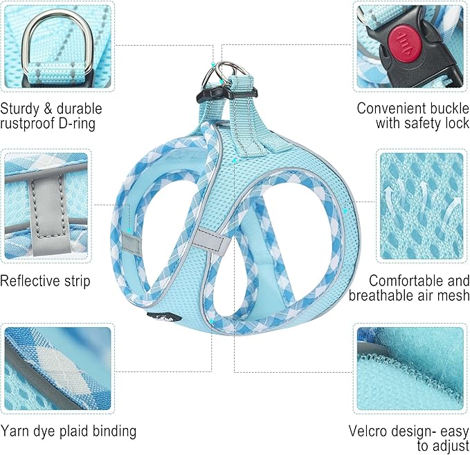 haapaw Dog Harness with Leash Set, No Pull Adjustable Reflective Step-in Puppy Harness with Thickened Padded Vest for Extra-Small/Small Medium Dogs