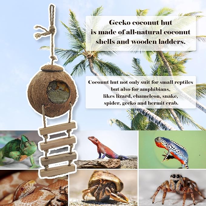 5PCS Coconut Hut for Gecko, Lizard Coco Den with Ladder and Reptile Hammock Bearded Dragon Tank Accessories Climbing Hanging Plants Jungle Vine Flexible Reptile Leaves Decor