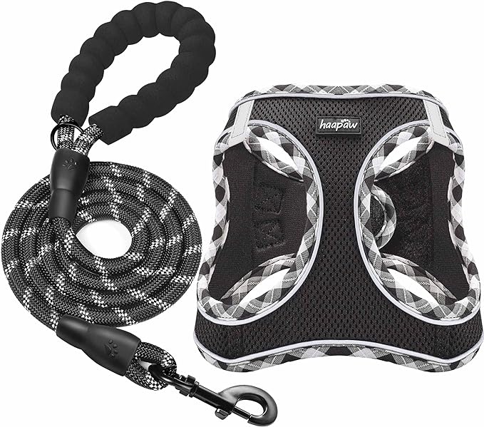 haapaw Dog Harness with Leash Set, No Pull Adjustable Reflective Step-in Puppy Harness with Thickened Padded Vest for Extra-Small/Small Medium Dogs