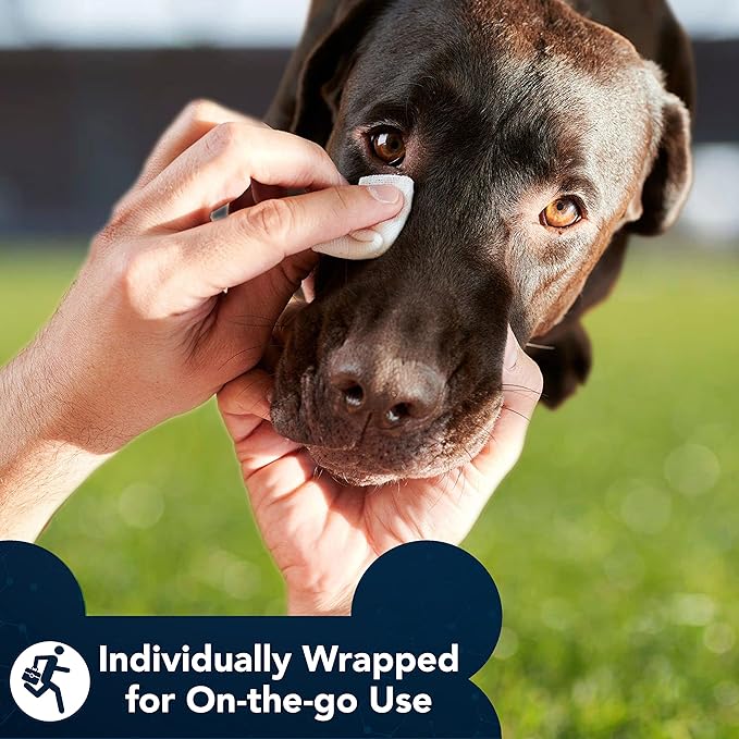 NOVEHA Pet Drops | Advanced Lanosterol Solution (60 Counts)