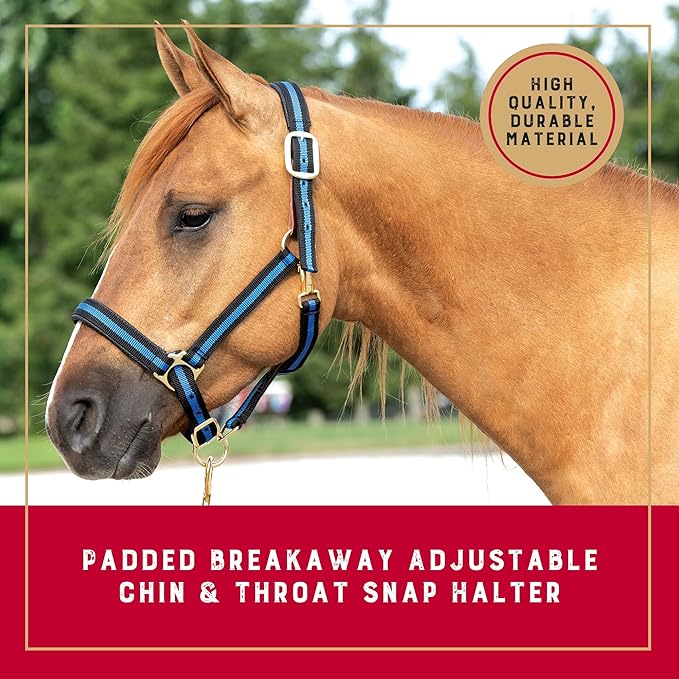 Weaver Equine Breakaway Horse Halter, Comfort Foam Padding, Adjustable Chin & Throat Snap Halters for Horses, Equine Tack,Average Size, Blue