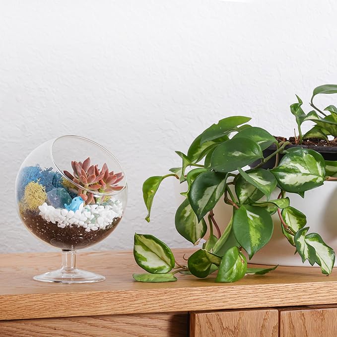 DIY Glass Plant Terrarium Kit for Adults, Metal Stand, Reindeer Moss, Crystals, Rocks, Tools & Figurine – Complete Starter Set