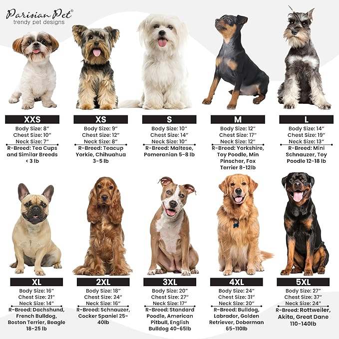 Parisian Pet Embroidered 'Worlds Champion' Dog Shirt - Lightweight Sleeveless Color Block Tee - Machine Washable for Small Dogs - XS