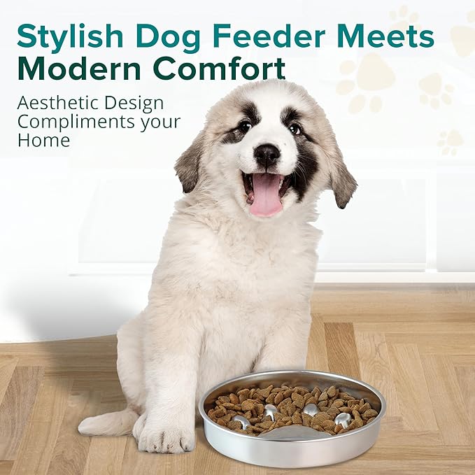 BarkNGo Slow Feeder Dog Bowls & Dog Water Bowl, Stainless Steel Pet Bowls for Dry, Wet & Raw Food, Non-Slip, Durable & Dishwasher Safe, Small Puppies to Large Dogs
