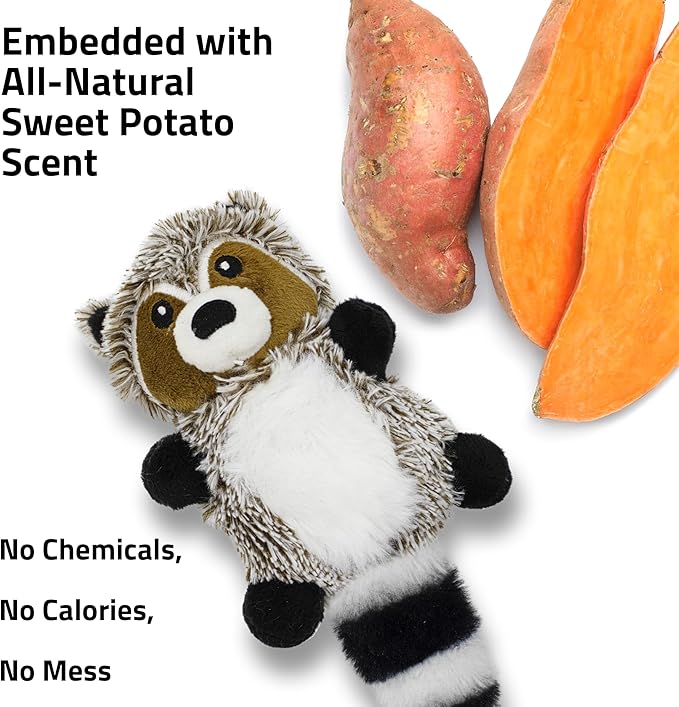 Playology Dog Toys | Plush Toy Racoon Stuffed Animal for Dogs | Small Sweet Potato Scented Toy - Easy to Clean and Made from Non Toxic Materials