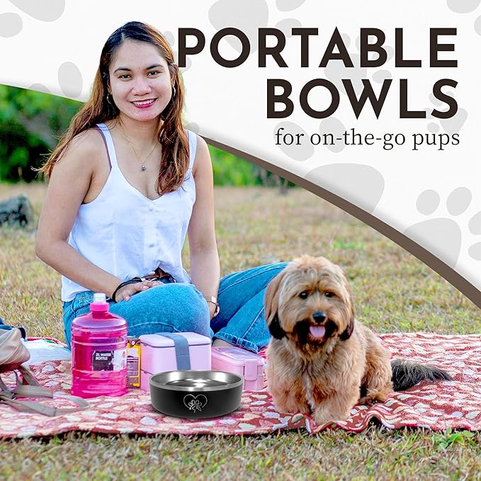 9 Tails Watering Hole- Stainless Steel Dog Bowl, Insulated Dog Bowls, Non Slip, Diswasher Safe, Cats, Dog Food Bowls, Dog Water Bowl, Puppy Dog Bowl for Small Medium Dogs (Black, 18 oz)