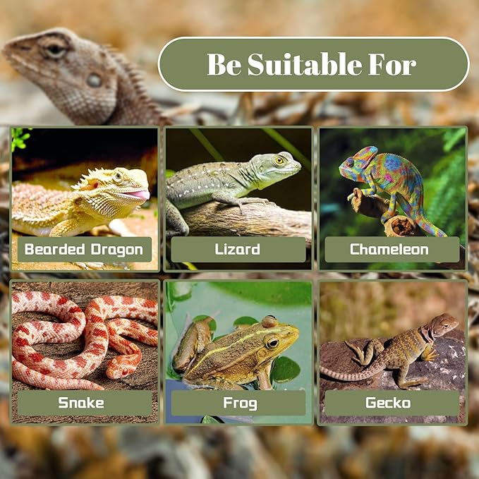 Leopard Gecko Tank Accessories,Pumpkin Resin Reptile Hideout Cave Bearded Dragon Hammock Hanging Jungle Vines Flexible Leaves for Lizard Gecko Chameleon Spider Snake Hermit Crab