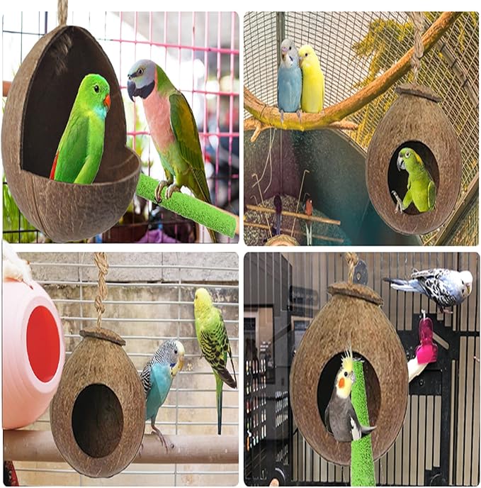 kathson Natural Coconut Shell Bird Nest,Hanging Coco Birds House,Parrots Hide Hut Habitats Decor,Parrot Cage Accessories for Lovebirds Cockatiel Canary Budgies,Feeder Spoon,4 Toy Balls(6 Pcs)