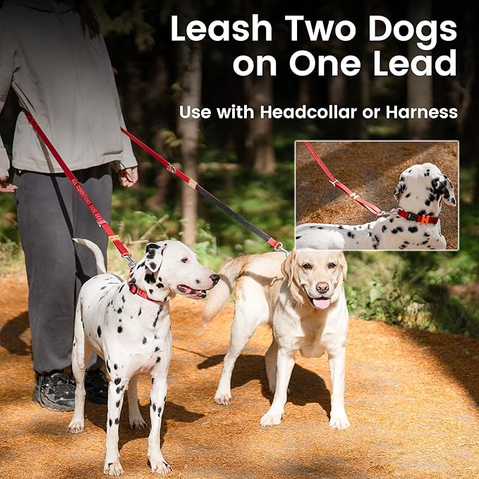 HOWGO 8-in-1 Multifunctional Hands Free Dog Training Leash with Padded Handle, 8.5 FT Nylon Adjustable Length, Lightweight Aviation Aluminum, Crossbody Waist Leash for Puppy Medium Large Dogs (Green)
