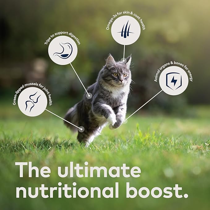 ZIWI Peak Air-Dried Cat Food – Mackerel & Lamb - All Natural, High Protein, Grain Free, Limited Ingredient w/ Superfoods (14oz)