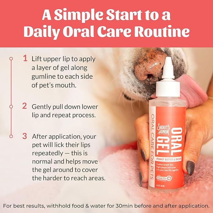 SKOUT'S HONOR Peanut Butter & Bacon Oral Gel - Fights Plaque and Tartar, Freshens Breath Fast, No Brushing Required, 4 oz