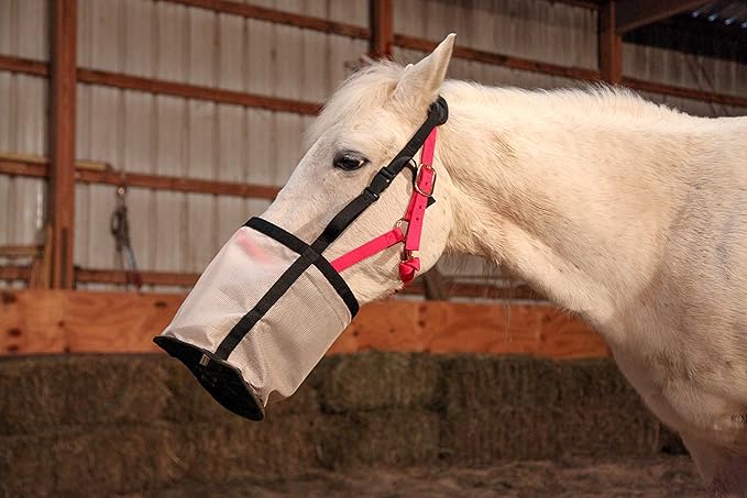 Majestic Ally Horse Feed Bag, Heavy Duty Nylon Mesh Grain Feed Bag, Adjustable Strap with Durable Snap and Elastic Straps, Comfort Neck Pad and Nose Pad- Large (Full, Beige)