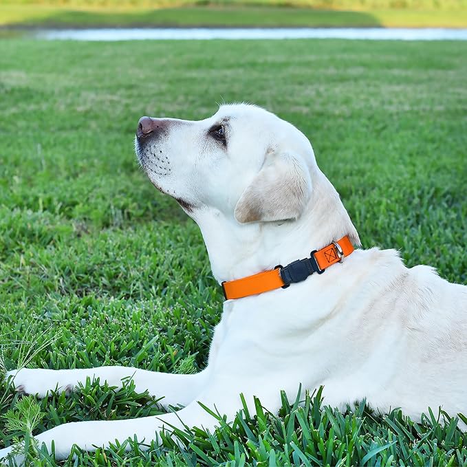 Dogline Biothane Waterproof Dog Collar with Herm Sprenger Black Stainless Steel Quick Release Buckle – Heavy Duty Tactical Durable Collar for Dogs – Comfortable, Safe Pet Collar W 1" L15-25 Tangerine