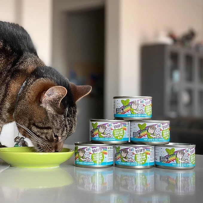 Weruva B.F.F. OMG - Best Feline Friend Oh My Gravy!, Tuna & Salmon Start Me Up with Tuna & Salmon, 5.5oz Can (Pack of 8)